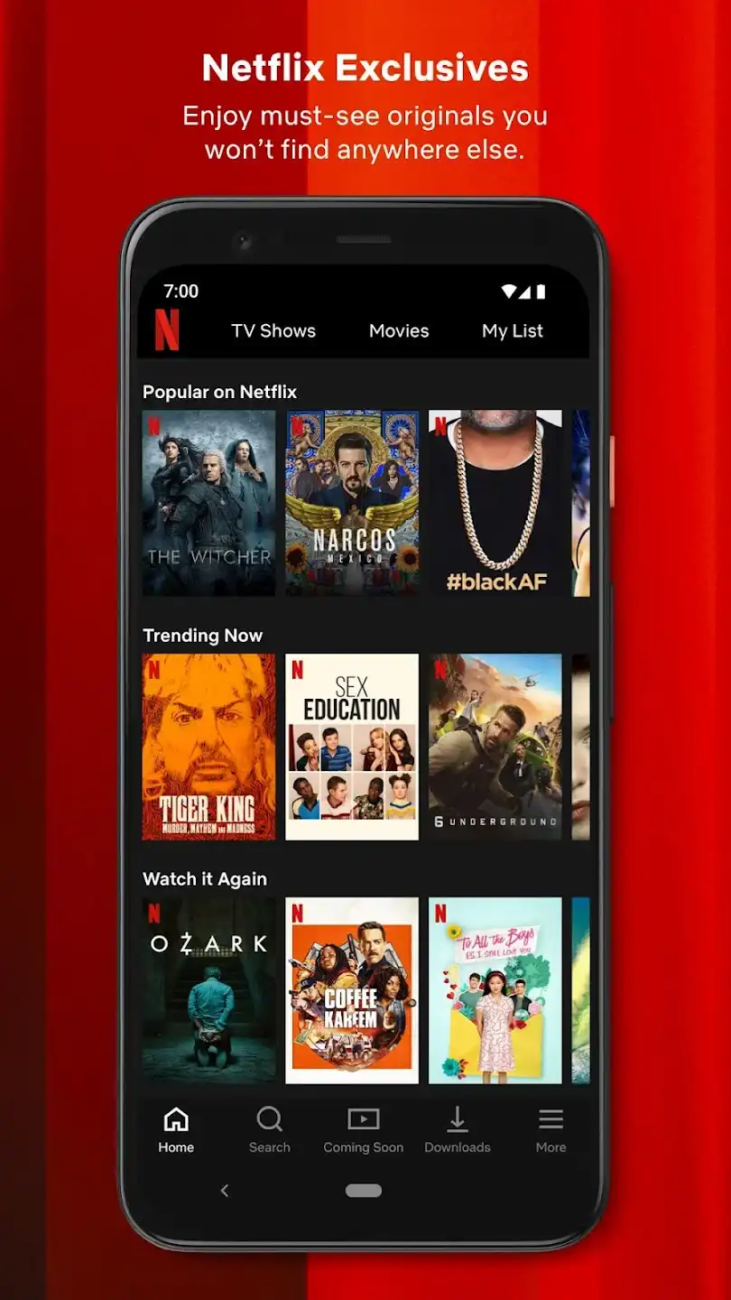 94fbr Netflix Premium APK