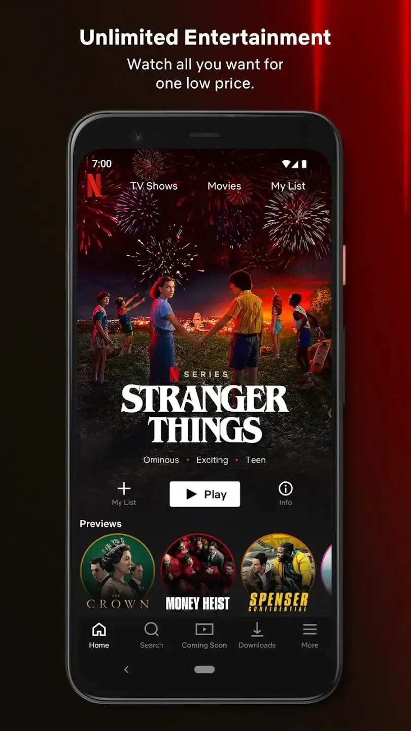 94fbr Netflix Premium Mod APK 