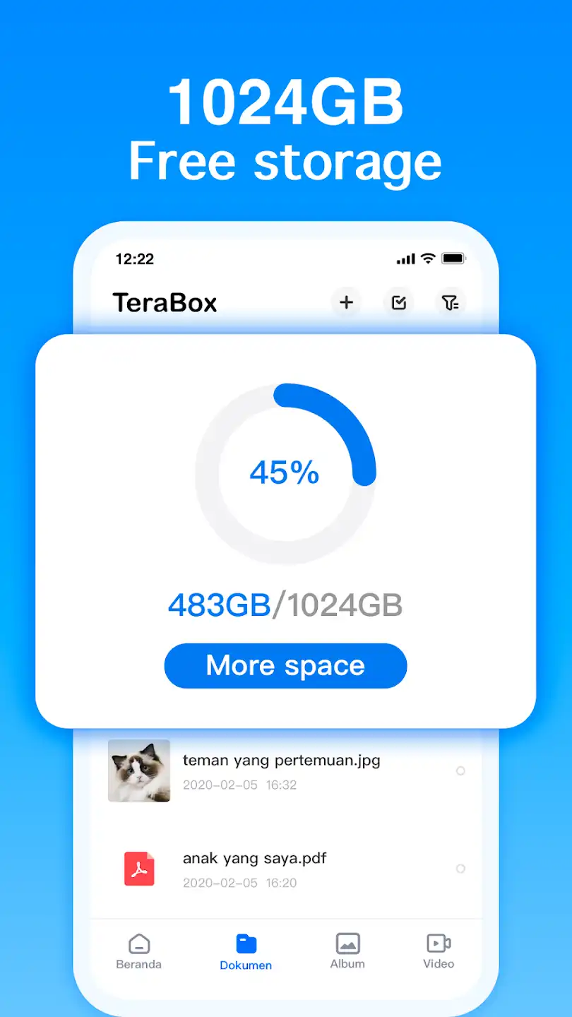 Terabox Mod APK 