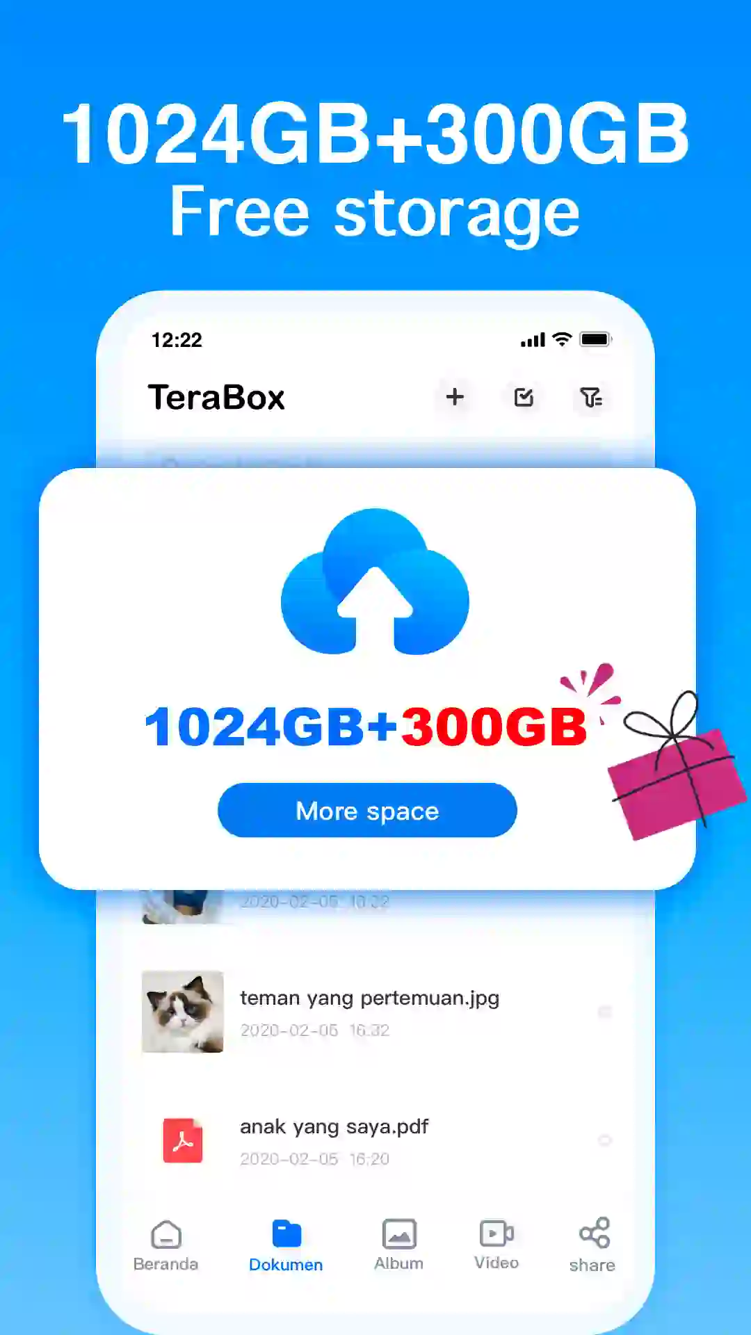 Tera Box Pro