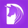 Dreame Mod Apk
