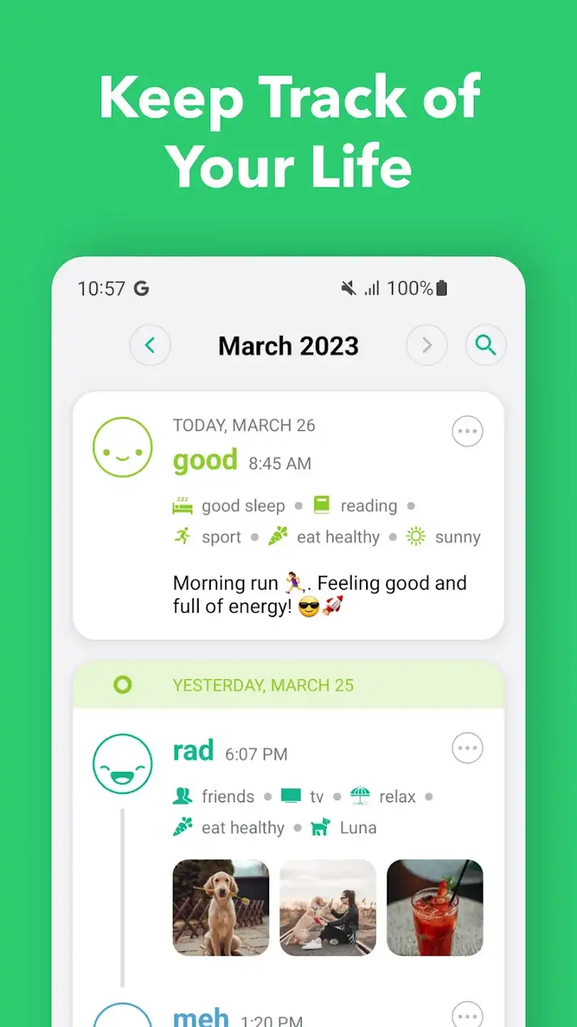 Daylio Mood Tracker App 2023