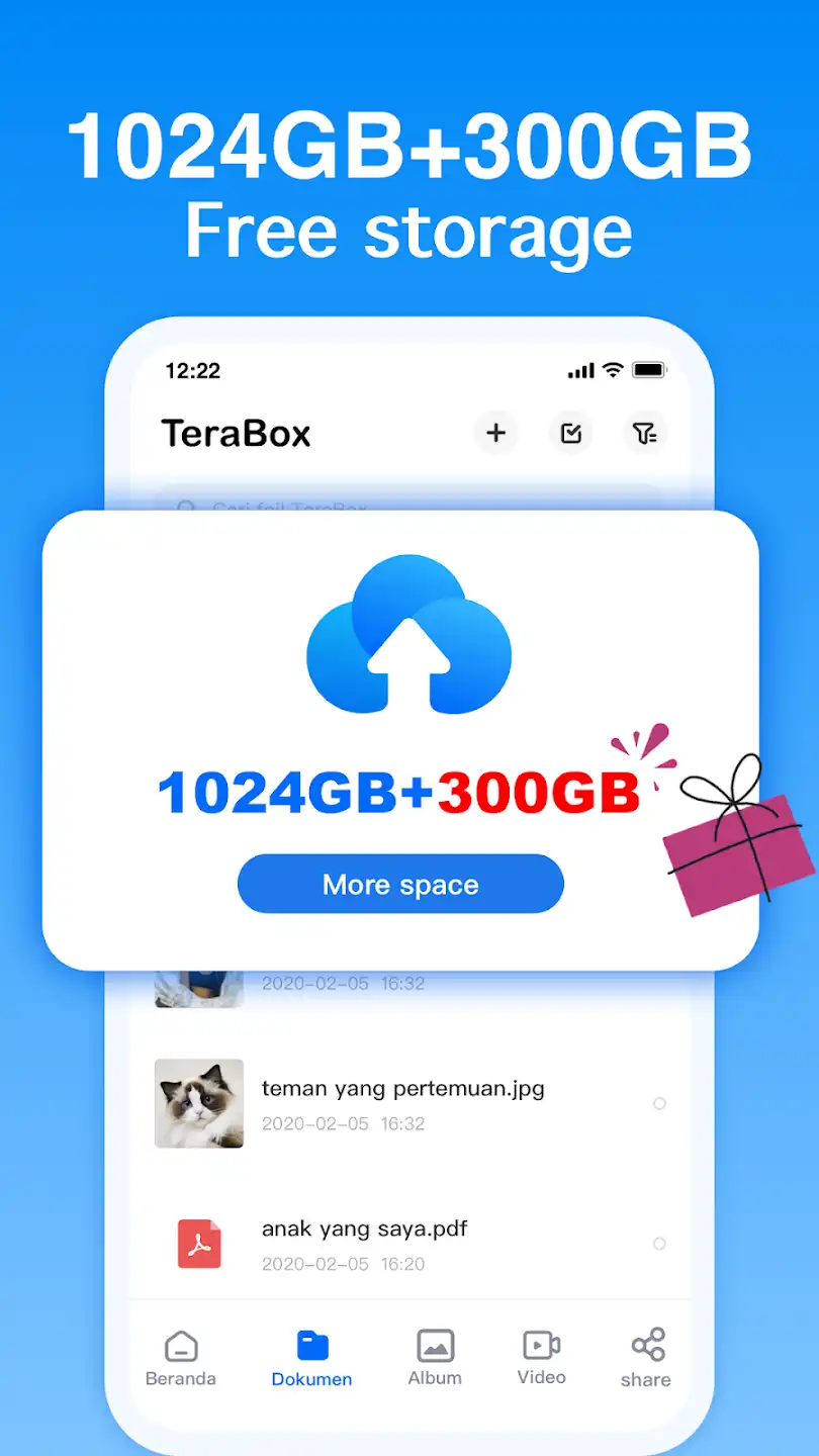 Features of Terabox Mod Apk