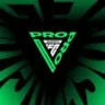 FC Pro Open