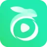 Pockettoon