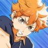 Haikyuu Fly High