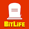BitLife - Life Simulator