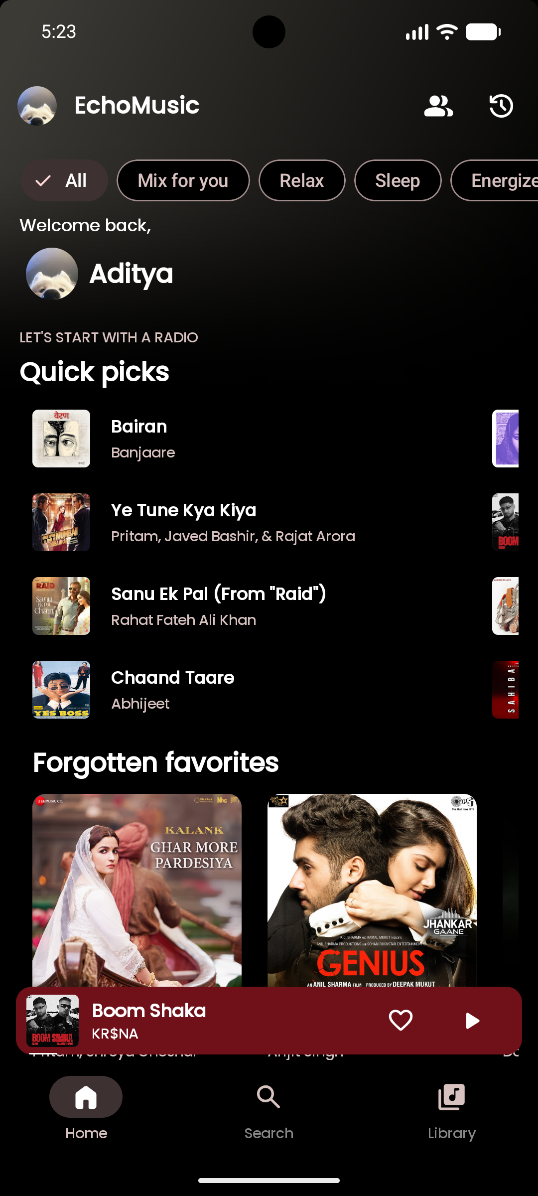 Echo Music free