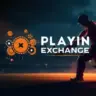 Playinexch APK